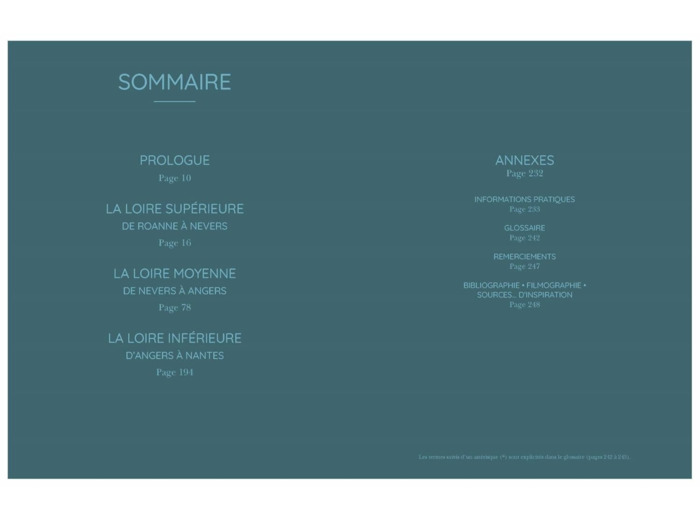 AU FIL DE LA LOIRE - RECIT D'UNE DESCENTE EN CANOE-BIVOUAC