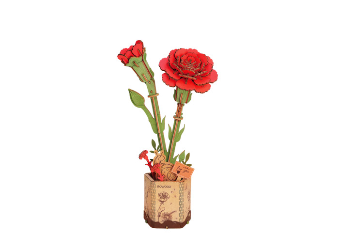 Oeillet Rouge en Bois