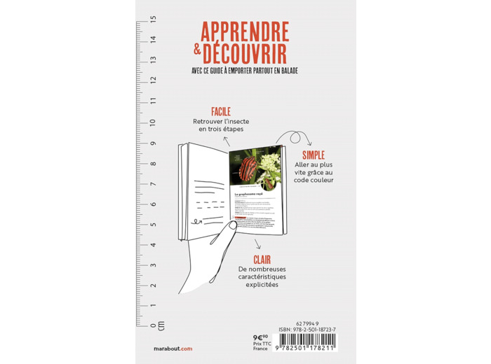 EN BALADE - LES INSECTES DE NOS JARDINS