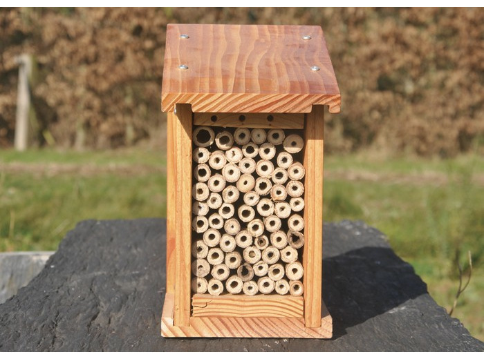 GITE A ABEILLES SAUVAGES BOIS