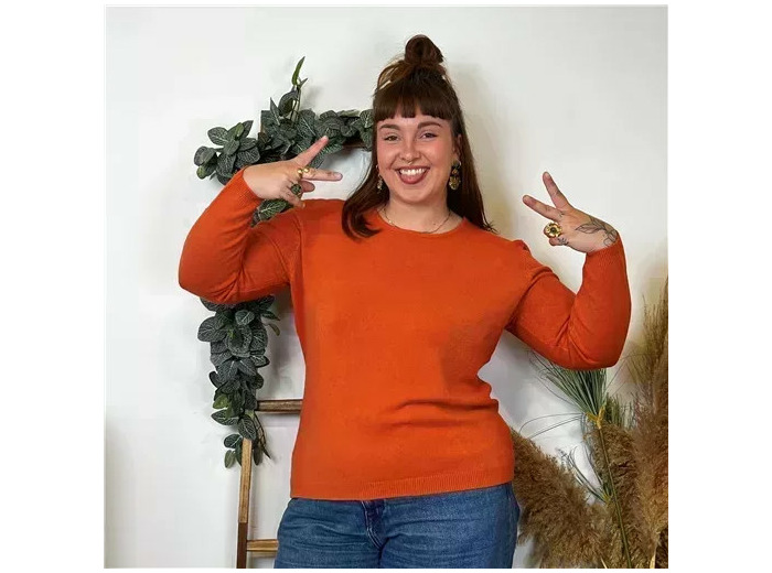 Y253- Tricotonic Col rond, Les T44 & 48 (rouille)