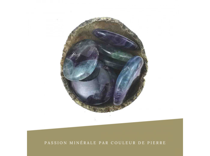 Fluorine Arc en ciel