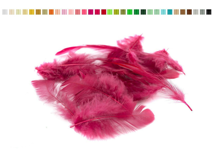 Plumes 6-10 cm bordeaux 270