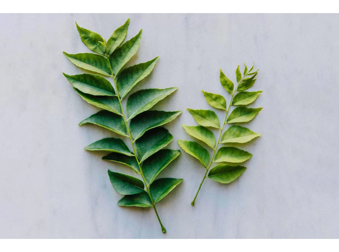 Feuilles de curry frais Kaloupilé