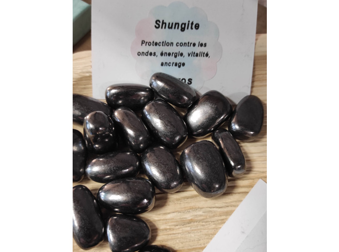Pierre roulée de Shungite