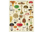 Cavallini 1000 Piece Puzzle, Mushrooms