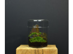 TERRARIUM ZAŌ