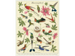 Cavallini 1000 Piece Puzzle, Hummingbirds