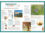 PROVENCE GUIDE PETAOUCHNOK - KSI KSI KSI (CHANTS DE CIGALES) KSI KSI KSI...