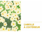LA VIE SECRETE DES ABEILLES - L'ESPRIT DE LA RUCHE