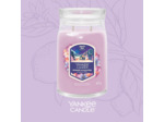 Yankee Candle Summit Stargazing Bougie parfumée dans un verre (grande) – Collection d'hiver 2025 – Apres Ski – Durée de combustion jusqu'à 90 heures