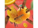 Parfum Berger 6002 Bouquet Parfum Cube Orange de Cannelle Transparent