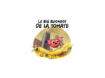 LA FOLLE HISTOIRE DES PLANTES - TOME 1 - LA BD QUI NE RACONTE PAS DE SALADES