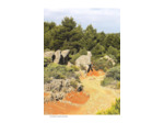 ALPILLES, LES PLUS BELLES RANDONNEES - ITINERAIRES A LA JOURNEE ET TOUR DU PARC