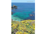 BELLE-ILE, HOUAT ET HOEDIC (2E ED)
