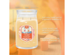 Yankee Candle grande jarre spritz au bord des pistes – Collection d'hiver 2025 – Apres Ski – Durée de combustion jusqu'à 90 heures