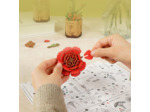 Oeillet Rouge en Bois