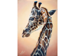 Girafe élégance
