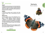 LE PETIT GUIDE DES INSECTES