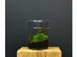 TERRARIUM ZAŌ