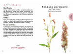 LE PETIT GUIDE DES FLEURS SAUVAGES