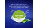 Vaseline Lip Therapy ALOE