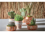 Pot à succulente - terracotta