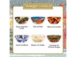 YANKEE CANDLE Set de Cire Fondue