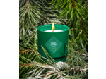 Bougie My Jolie Candle Sapin en fête
