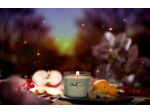 Bougie YankeeCandle Gobelet Verger enchanté