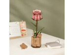 Rose en Bois