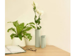 Trio de vases en porcelaine vert d'eau