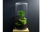 TERRARIUM NYU