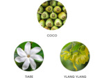 Eau de Parfum TEHANI POLYNÉSIE 11 mL - FiiLiT Parfum du Voyage - Mixte - Spray rechargeable - Tiaré Vanille Coco Ylang Floral Oriental
