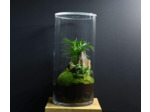 TERRARIUM NYU