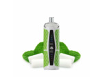 Puff Chicha - Gum Mint - 25K Starbuzz