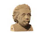 Albert Einstein Puzzle 3D