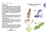 LE PETIT GUIDE DES FLEURS SAUVAGES