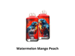 Puff 28k - JNR Falcon X + - Watermelon Mango Peach