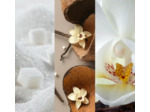 Bougie YankeeCandle Gobelet Averses de neige à la vanille