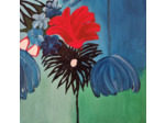 ASTER
