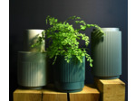 Trio de vases et cache-pots