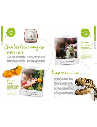 TOUS DEHORS EN FORET !