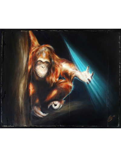 Orang-outan