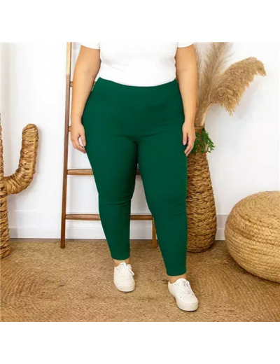 R273- Tregging Christy (T42-T52) (vert sapin)