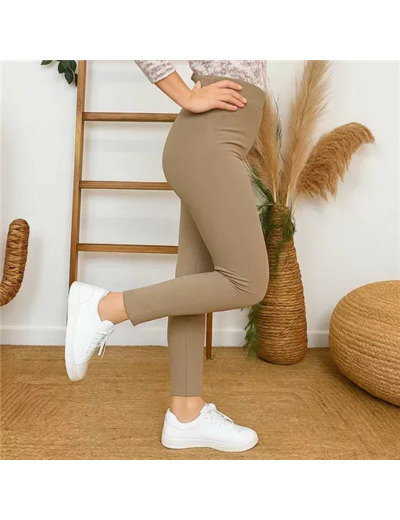 R273- Tregging Christy (T42-T52) (beige)