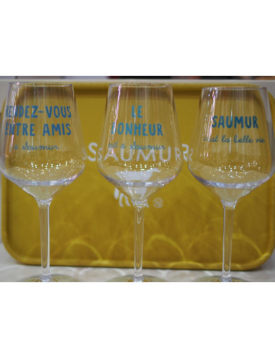 6 verres à pieds en plastique réutilisable Saumur