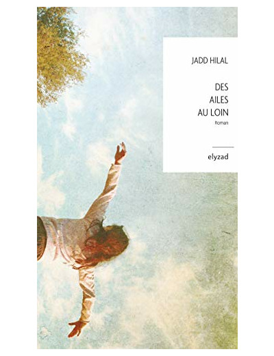 DES AILES AU LOIN