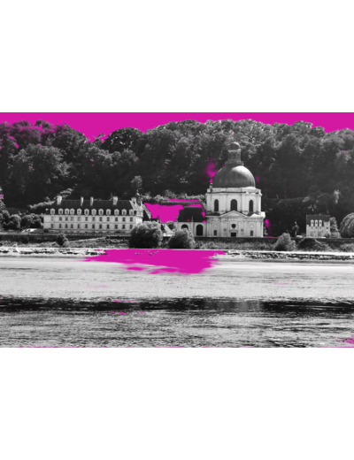 Purple Ardilliers