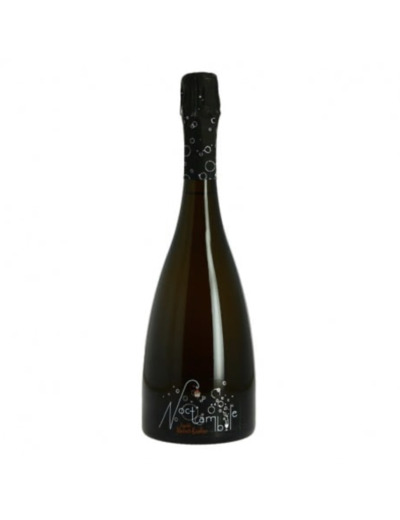 CRÉMANT DE LOIRE NOCTAMBULE PAR DOMAINE MUSSET ROULLIER